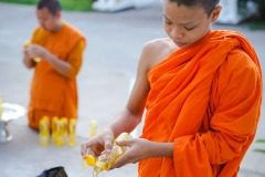 DSC07065