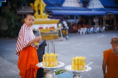 DSC07955