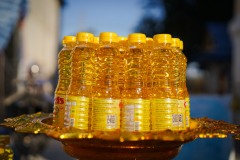 DSC09499
