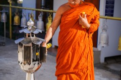 DSC00718