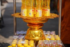 DSC01022