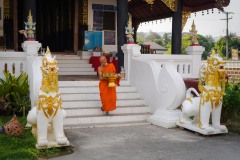 DSC01816
