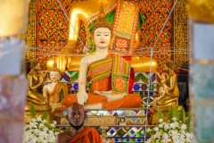 DSC02585