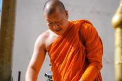 DSC06943