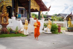 DSC06954