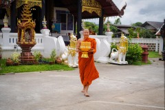 DSC07181