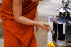 DSC07189