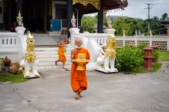 DSC08505