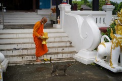 DSC09466