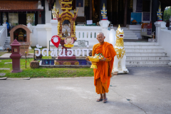 DSC04766