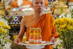 DSC09262