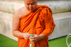 DSC01926