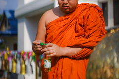 DSC03374