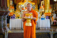 DSC03553
