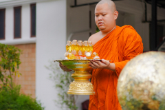 DSC03555