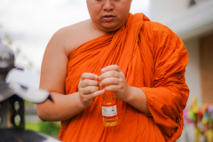 DSC03558