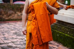 DSC09788