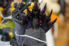 DSC08519