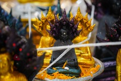 DSC08526
