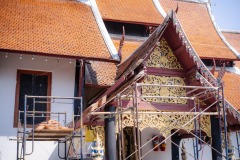 DSC07156