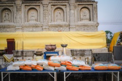 DSC06086
