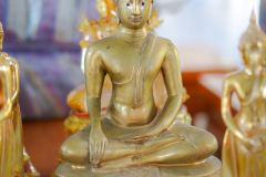 DSC04632