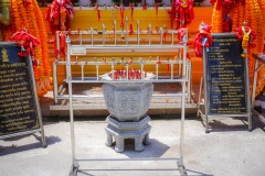 DSC04218