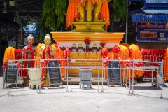 DSC04219