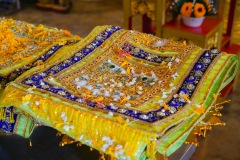 DSC07902