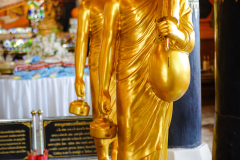 DSC00677