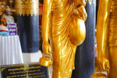 DSC00678