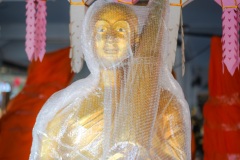DSC07832