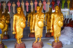 DSC07837