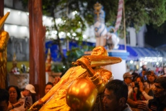 DSC08801