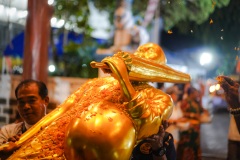 DSC08804