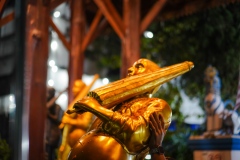 DSC08808