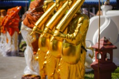 DSC09606