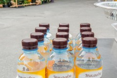 IMG_20211214_065321