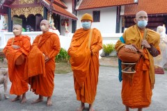 IMG_20211220_065846
