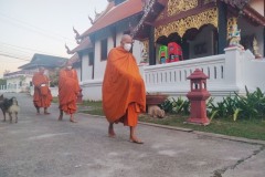 IMG20220125070515
