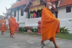 IMG20220125070516