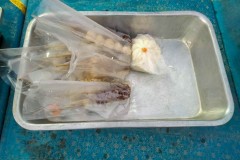 IMG20220129064553