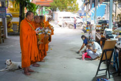 DSC00316