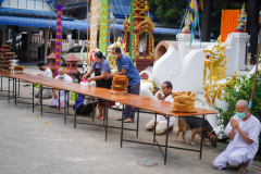 DSC00554