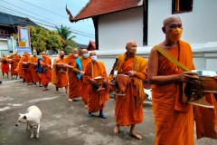 IMG20220117075221