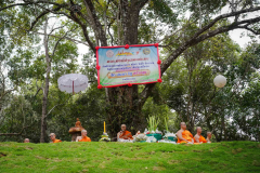 DSC05508