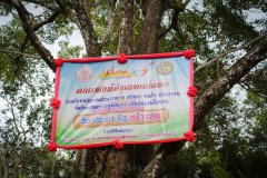 DSC05519