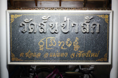 DSC06880