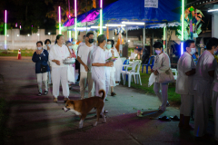 DSC00445