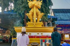 IMG_20211220_084544